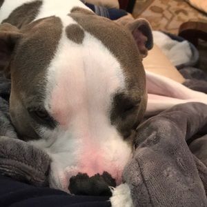 Meet your Posher, Connie